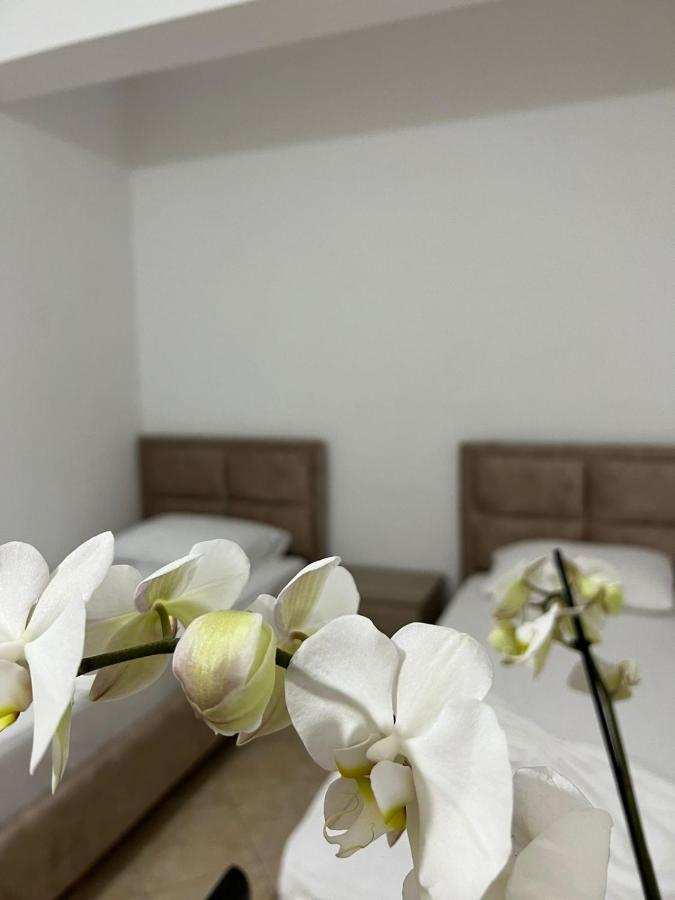 Alex Apartments Sarandë エクステリア 写真
