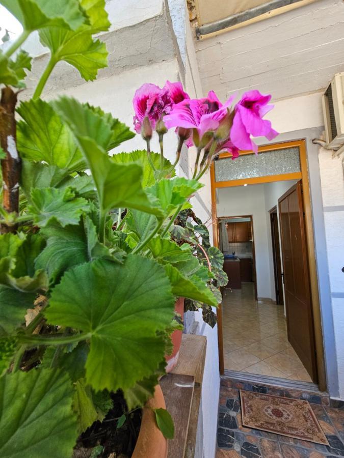 Alex Apartments Sarandë エクステリア 写真