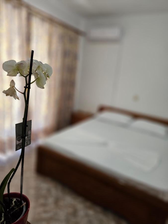Alex Apartments Sarandë エクステリア 写真